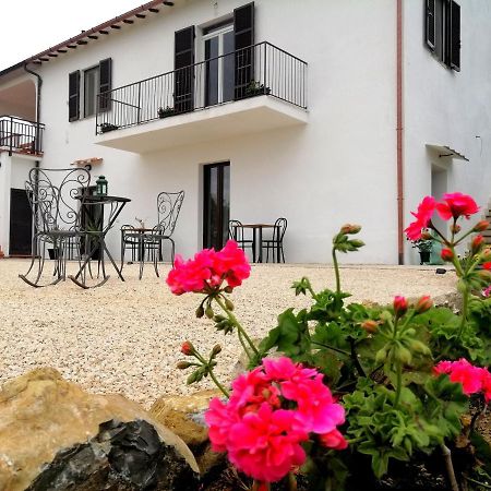 Agriturismo Podere Verdicchio Scansano Exterior foto